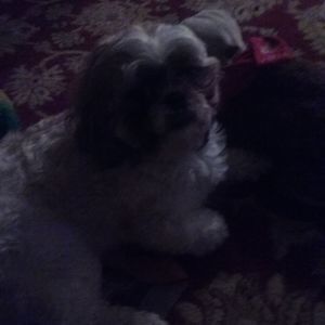 Meet your Posher, Darryl